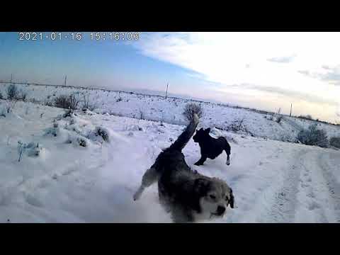 ATV Rapa Bihor (Guber)