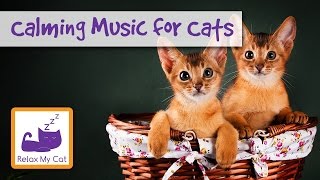 Improve Cat Behaviour with Relaxing Music - Cat Music