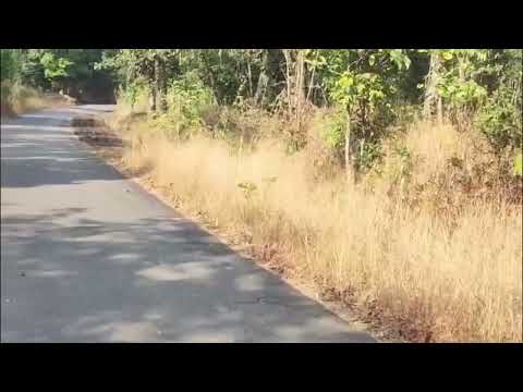  48 Cent Industrial Land for Sale in Ajekar, Udupi