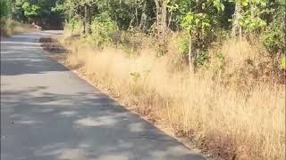  Industrial Land for Sale in Ajekar, Udupi