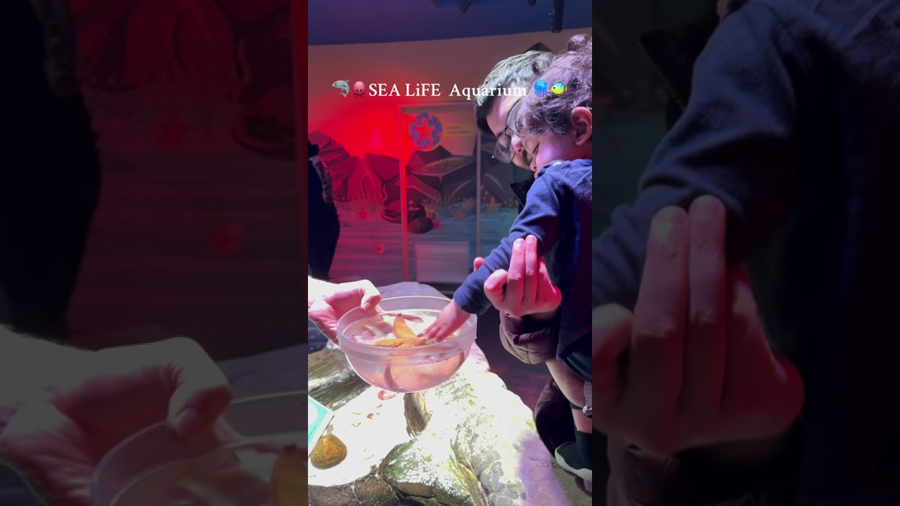 YouTube Short thumbnail