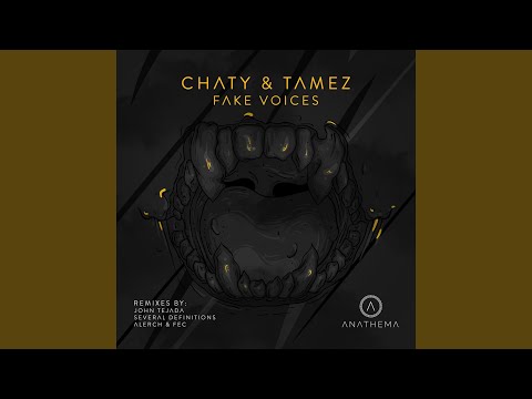 Fake Voices (Original Mix)