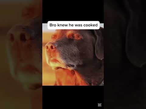 Bro new he was cooked#firstvideo #viralvideo #shorts #comment #funny #meme