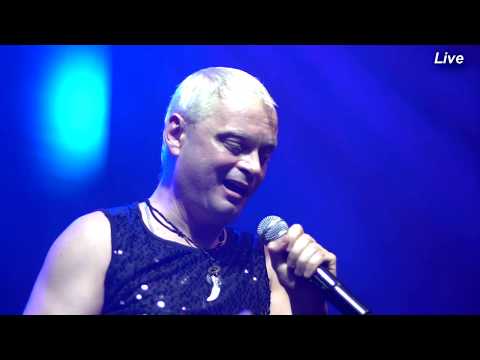 D.White - If you could stay (Live). Modern Talking style. NEW Italo Disco, Synth pop, Euro Disco