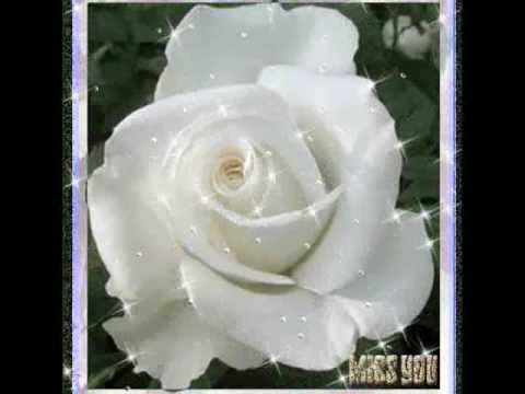 Los Bukis - A Aquella