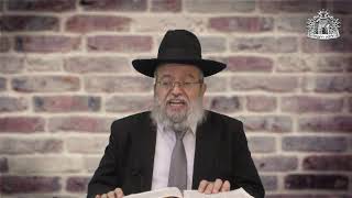 דף היומי בחצי שעה - פסחים  דף ט'