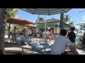 Seagulls Attacking Frenchfries
