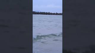 スレンダーよりもちょいぽちゃビキニが至高！