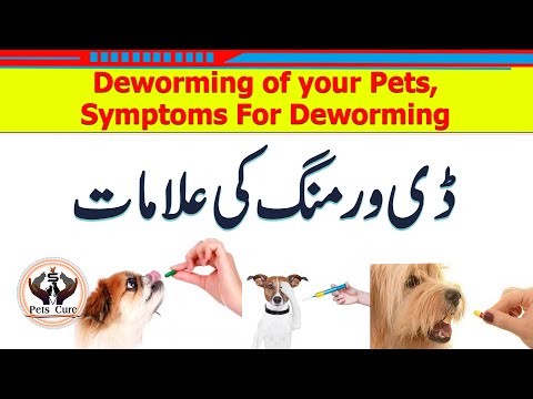 Deworming of your Pets\Symptoms For Deworming