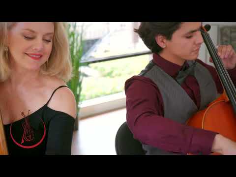 OMG: Saint-Saëns: The Swan (Cello and Harp) Peggy & Alex