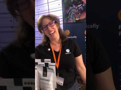 Can mushrooms heal the planet and our bodies?