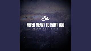 Never Meant to Hurt You