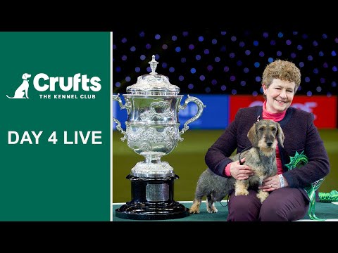 Day 4 Live | Crufts 2022
