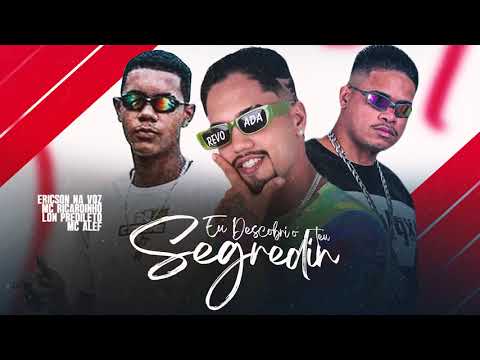 O SEGREDIN DA NOVINHA -LON PREDILETO | MC RICARDINHO | ERICSON NA VOZ 