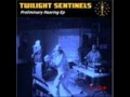 Twilight Sentinels- A New face