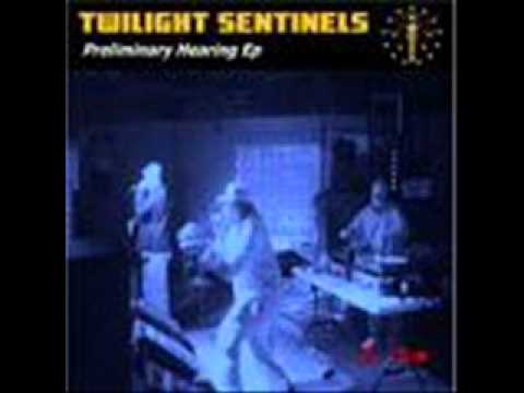 Twilight Sentinels- A New face