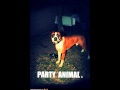 No Logo - Party Animal (Tommy Disco rmx) 
