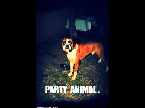 No Logo - Party Animal (Tommy Disco rmx)