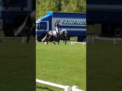 Nesley Dressage BTB 2020