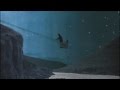 Rökkurró - Svanur 