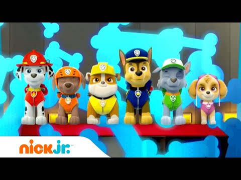 Psi Patrol Polska | Piosenka Czołówkowa (Muzyka) | Nick Jr.