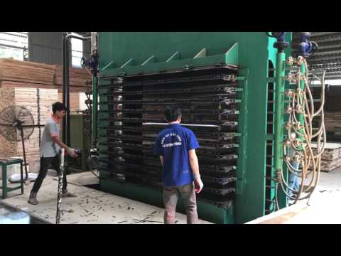 Sản xuất ván ép phủ phim