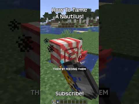 How To Tame A Nautilus In Minecraft?!