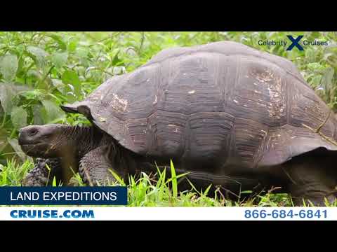 Watch lagu Images Videos Celebrity Xpedition Baggage Allowance, Watch Images Celebrity Xpedition Baggage Allowance free Watchn, video klip Celebrity Xpedition Baggage Allowance