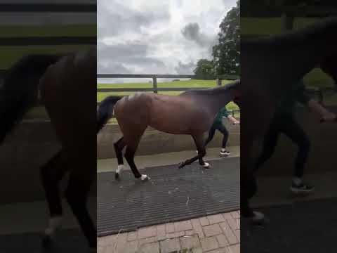 Video 2