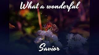 Chris Tomlin - Wonderful Maker (Lyric Video)