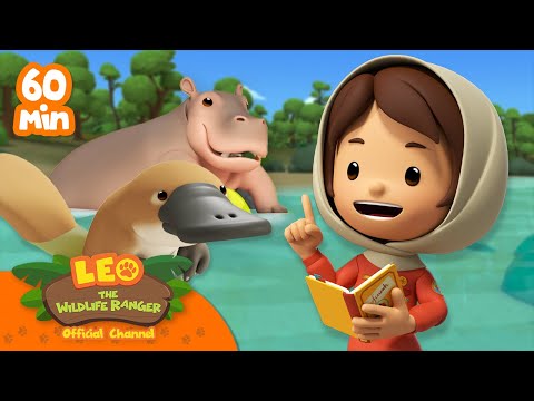 Witness21  2023 05 07