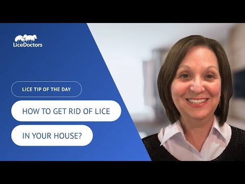 How To Get Rid Of Lice In Your House? | LiceDoctors