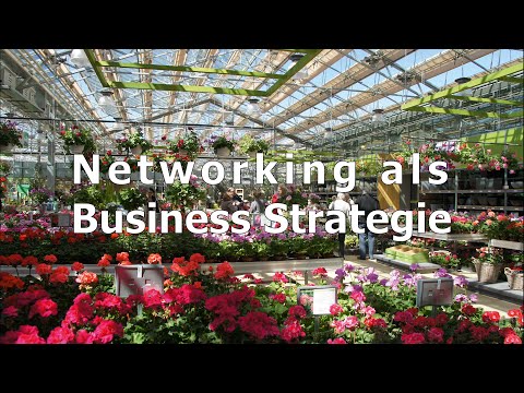 Networking als Business Strategie