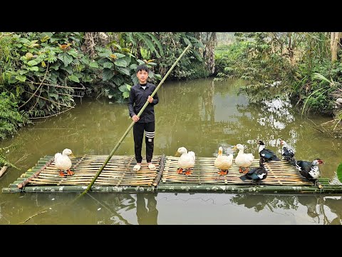 Nam used bamboo to build a floating duck coop for his ducks to live in. Episode 1