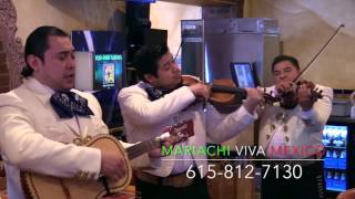 MARIACHI VIVA MEXICO