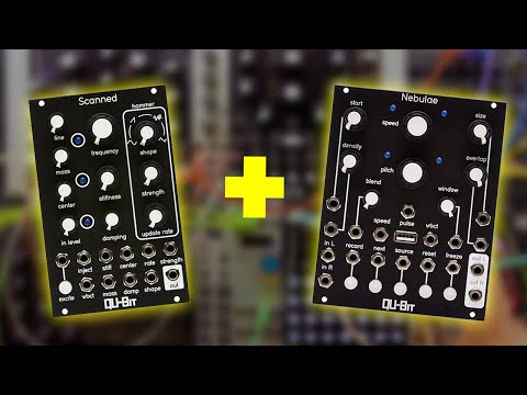 Qu-Bit Electronix Nebulae v2 2018 - Present - Black image 5