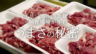 有限会社肉の秋元本店