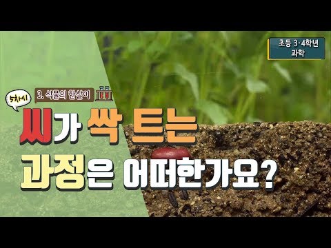 , title : '[초등 과학 4-1] 3. 식물의 한살이 - 5차시. 씨가 싹 트는 과정은 어떠한가요?'