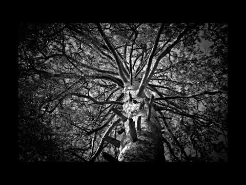download lagu mp3 mp4 Submerge Techno, download mp3 Submerge Techno free download mp3, download mp3 Submerge Techno
