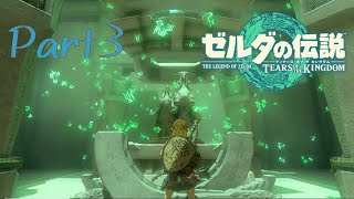 唐突にリア充見せつけられて戸惑ってる。-ゼルダの伝説 Tears of the Kingdom -part3-