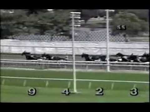 1989 Meadowlands ARMBRO FEATHER F&M Open $25,000