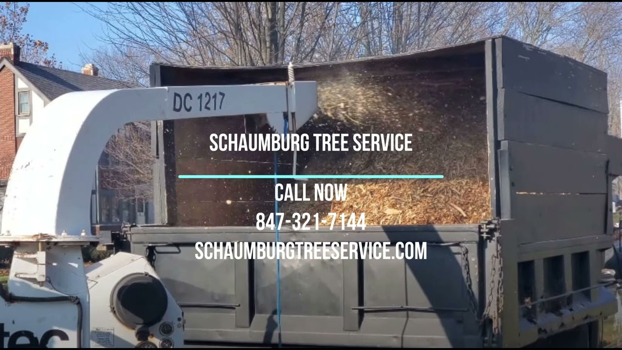 Single Video thumbnail