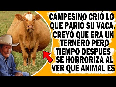 , title : 'Campesino Crió Lo Que Parió Su Vaca Pero Tiempo Después Se Horroriza Al Descubrir Qué Animal Es'