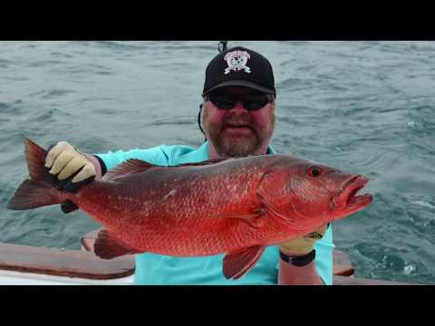 SNAPPER FISHING IN PANAMA