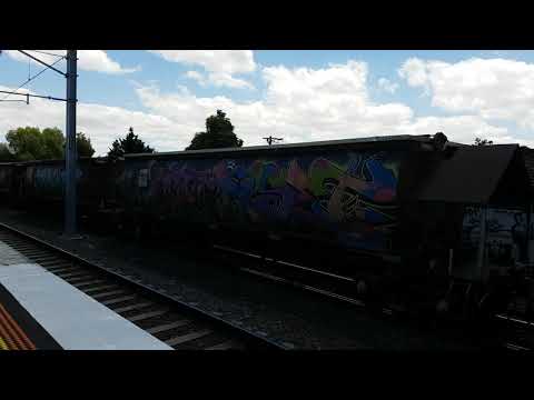 6 locos on SSR Broad Gauge grain