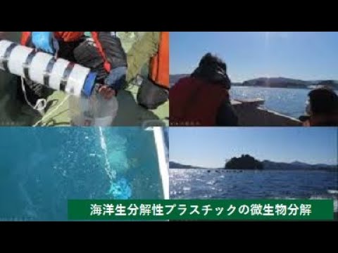 【農学部】海洋生分解性プラスチックの微生物分解