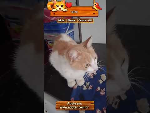Vídeo de ruiva