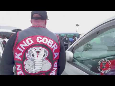 KING COBRA AIGA  NEW ZEALAND