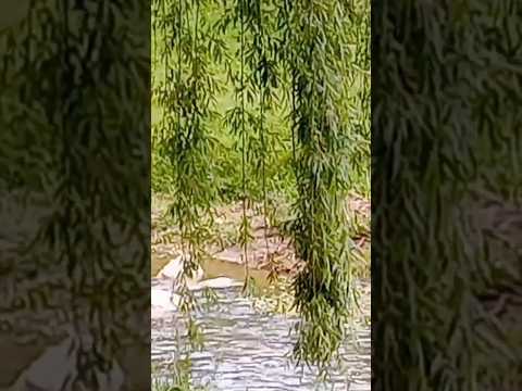 Casa Grande, Punilla, Córdoba, Argentina.#casagrande