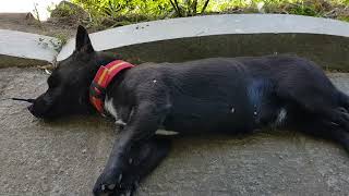 피곤해 tired
